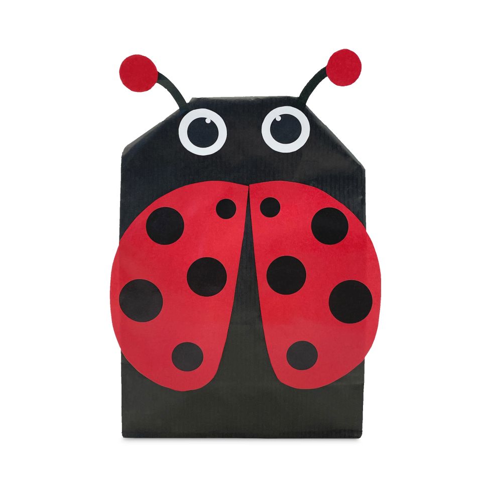 Image - 2718 0008 Ladybug Frontal