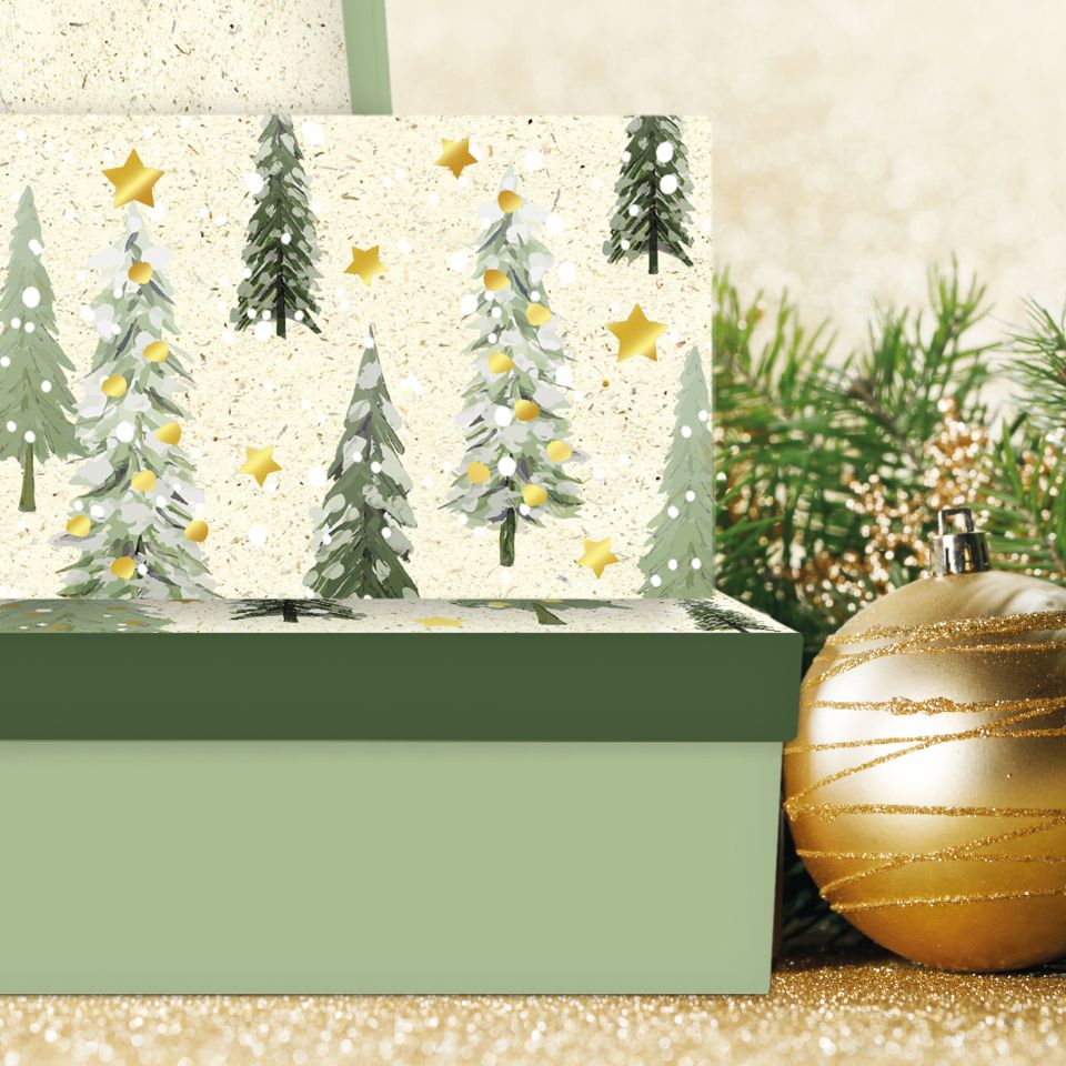 Image - Stimmungsbild Kartonagen Natural Forest