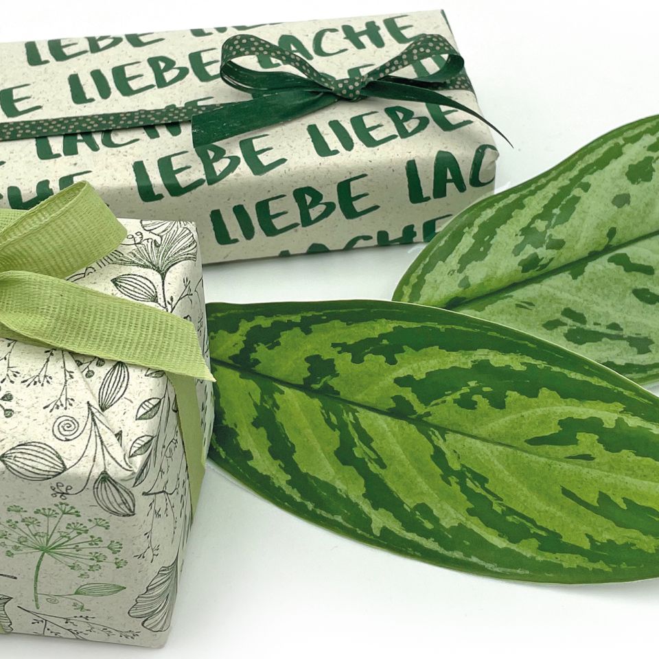 Image - Stimmungsfoto GP Gras Gruen