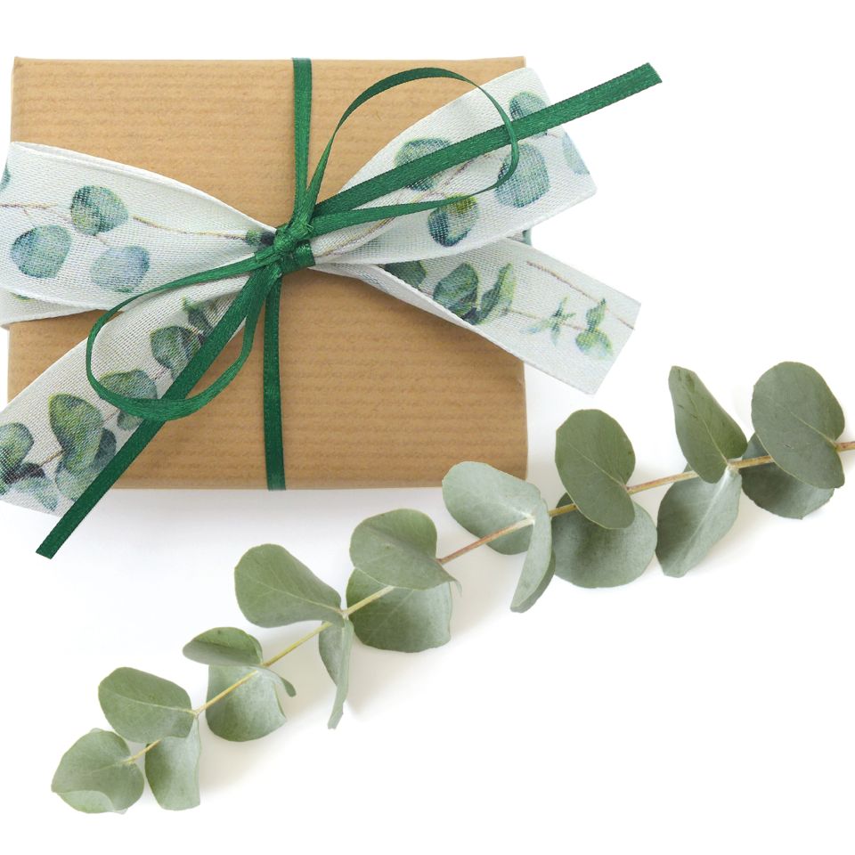 Image - Eucalyptus Band Mood